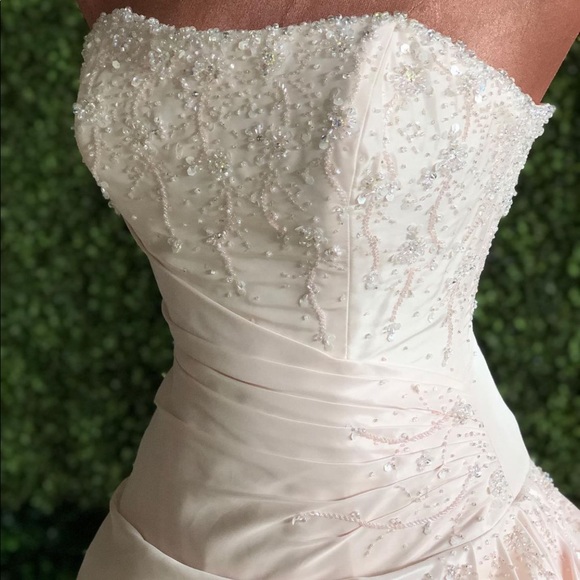 Blush gown - Picture 3 of 5